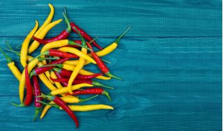 Domácí zahrada - Hot pepper odrůda mix - pro vnitřní a balkonové pěstování - Capsicum annum - semena