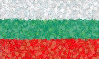 Bulgariska flaggan - frön av 3 blommande växter "sorter - 