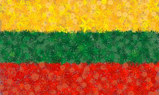 דגל ליטאי - קבוצה של זרעים של שלושה זני צמחים פורחים - 