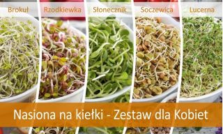 Sprouting seeds - Selection for women