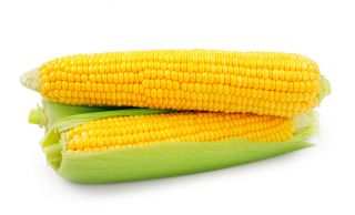 Sweet corn "Landmark" - 30 seeds