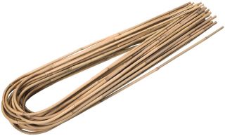 Bent bamboo plant support - 8-10 mm / 60 cm