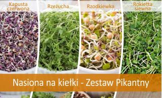Sėklos daigams - aštrus rinkinys -  Eruca stiva, Lepidium sativum, Raphanus sativus, ,Brasica oleracea conv. Capitata var.rubra