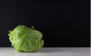 Crisp salata de gheață "Grazer Krauthauptel 2" - miracolul european - 900 de semințe - Lactuca sativa L. 