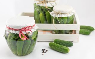 Cucumber "Marcel F1" - pickling variety, small warts - 225 seeds