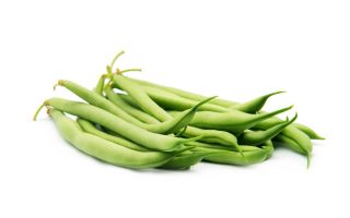 녹색 프랑스 콩 "Delfina"- 동결 및 보존 용 - Phaseolus vulgaris L. - 씨앗