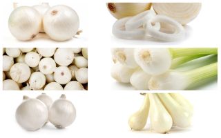White onion - set of seeds of 6 vegetable plants' varieties