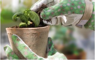 Τα πράσινα Majbacka κομψά και άνετα γάντια κήπου - 