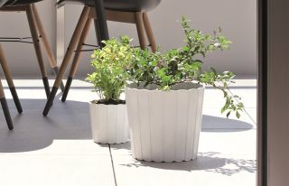 Plantador redondo "Boardee Basic" - 16,5 cm - branco - 