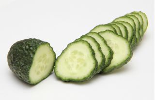 Cucumber "Junak" - 105 seeds