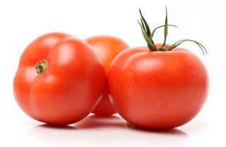 Tomat "Antares" - varietas yang sangat tahan, tidak perlu dipertaruhkan - Lycopersicon esculentum Mill. - biji