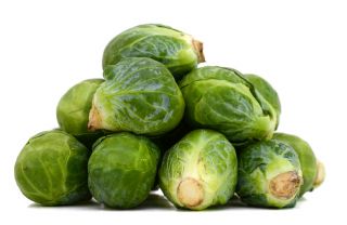 브뤼셀 새싹 "Casiopea"- 건강한, 녹색 Brussel 콩나물 - 640 종자 - Brassica oleracea var. gemmifera - 씨앗