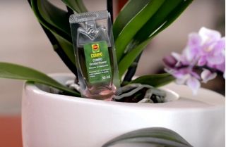 Nutriente Poder de Orquídeas - Compo® - 1 x 30 ml - 