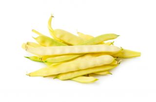 Fazole "Supernano Giallo" - běžná odrůda trpasličí fazole - 25 semen - Phaseolus vulgaris L. - semena