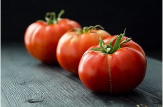 Tomate 'Marmande' - süß und fleischig