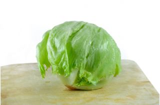 Crisp salata de gheață "Grazer Krauthauptel 2" - miracolul european - 900 de semințe - Lactuca sativa L. 