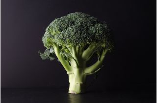 Broccoli - Limba - 300 frön - Brassica oleracea L. var. italica Plenck