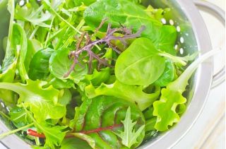 Leaf Zelenjavne mešanice - Fitness Mix -  - semena