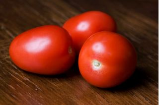 Hạt giống cà chua Kmicic - Lycopersicon esculentum - 500 hạt - Solanum lycopersicum 