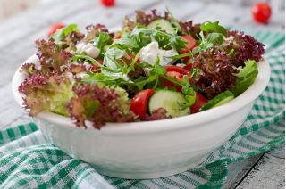 Lettuce Red Salad Bowl seeds - Lactuca sativa - 1150 seeds