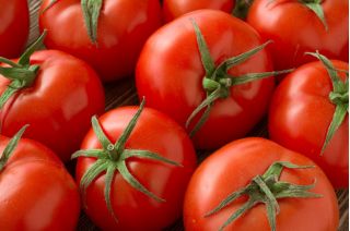 Tomate - Betalux - 220 semillas - Lycopersicon esculentum Mill