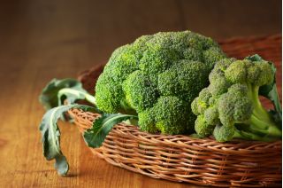 Broccoli - Calabrese Natalino - 300 frön - Brassica oleracea L. var. italica Plenck