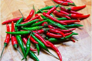 Bell pepper "Westlandia" - hot