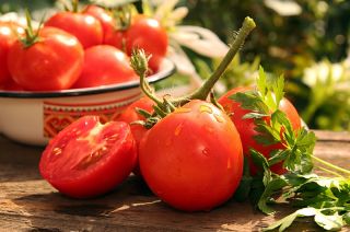 Tomate - Słonka F1 - Lycopersicon esculentum  - sementes