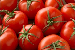 Tomate - Słonka F1 - Lycopersicon esculentum  - sementes