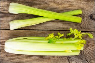Celer "Goldgelber" - mesnat i aromatičan - 1300 sjemenki - Apium graveolens - sjemenke
