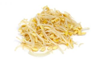 Spiring frø - asiatisk mat - 3-delt sett + sprouter med en brett - 