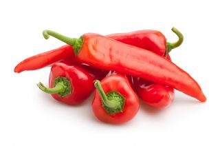 Pepper "Artist" - červená a sladká - Capsicum L. - semená