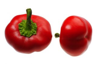 辣椒“杜马” - 红色和甜 - Capsicum L. - 種子