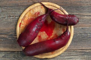 Kırmızı pancar "Opolski" - KAPALI TOHUMLAR - Beta vulgaris var. Conditiva