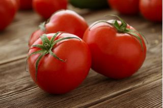 Tomat - Bohun -  Lycopersicon esculentum - Bohun - seemned