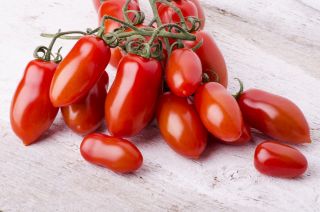 Tomate 'S. Marzano 3 '- Hochwachsend Freilandtomate Mediterraner Bestseller
