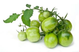 Tomate - Green Zebra - verde - Lycopersicon esculentum Mill.  - sementes