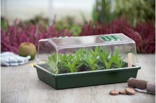 Velké větrané indoor mini skleníkové rostliny doma - zelené - 