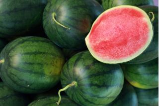 Wassermelone Rosario Samen - Citrullus Lanatus - 11 Samen