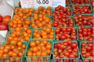 Tomate cereja - Venus  - Lycopersicon esculentum Mill  - sementes