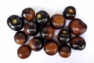 Tomāti Ķiršu - Black cherry - melns - 60 sēklas - Lycopersicon esculentum Mill