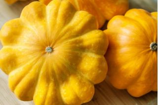 Žlutá Patty Pan Squash semena - Cucurbita pepo - 28 semen - Cucurbita pepo var. pattisonina ‘Orange'