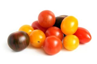 Biji tomat campuran Tomat - Lycopersicon esculentum - Solanum lycopersicum 
