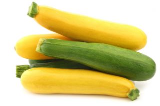 Biji campuran zucchini - Cucurbita pepo - 14 biji - benih