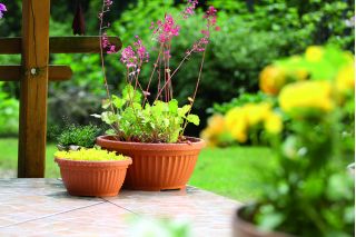 Outdoor flower pot, low - Terra - 30 cm - Terracotta