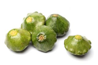 Zelená pattypan squash "Gagat" - 30 semen - Cucurbita pepo - semena