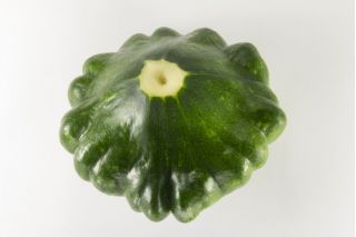Calabaza pattypan verde "Gagat" - 30 semillas - Cucurbita pepo