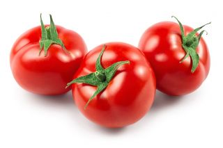 Tomato "Beta" - sesuai untuk tukang kebun hobi - Lycopersicon esculentum Mill  - benih