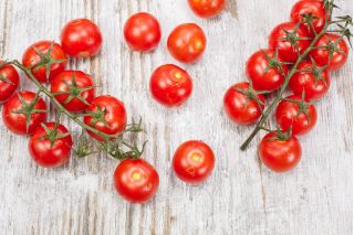 Cherry tomato "Cherrola" - for garden and tunnel cultivation - 20 seeds