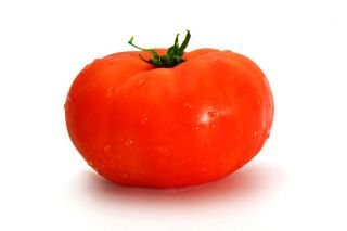 Tomat - Marmande - 200 frø - Lycopersicon esculentum Mill